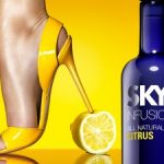 SKYY Vodka Infusion Citrus