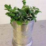 Georgia Mint Julep